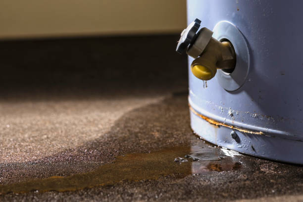 Best 24-hour water damage restoration  in Blanchester, OH
