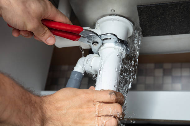 Best Professional water damage repair  in Blanchester, OH