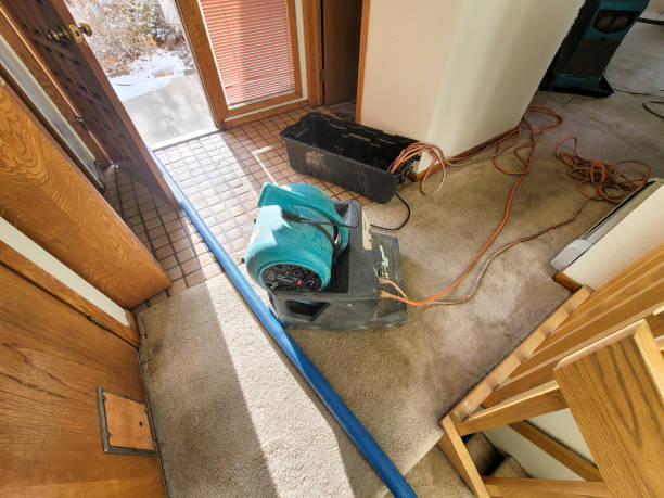 Best 24/7 water damage repair  in Blanchester, OH