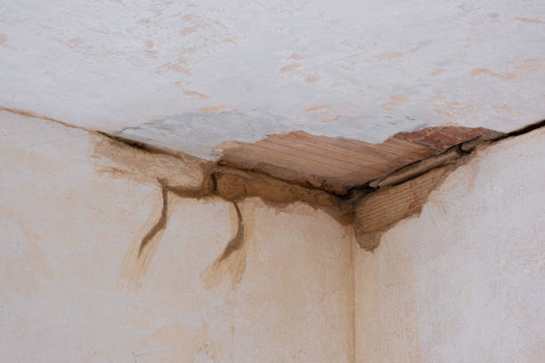 Best Flood restoration services  in Blanchester, OH