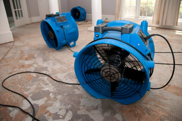 Best Water damage restoration near me  in Blanchester, OH