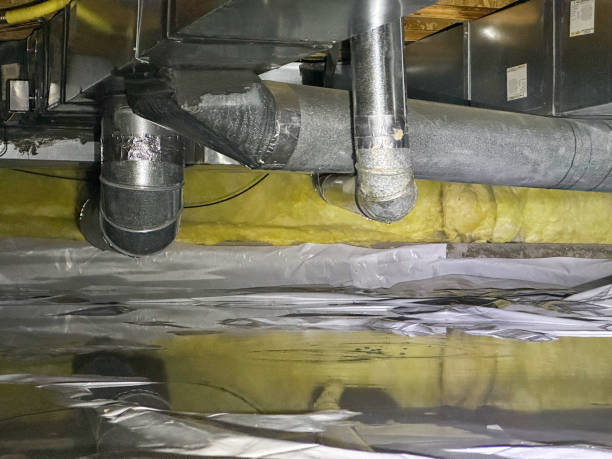 Best Water damage contractors near me  in Blanchester, OH