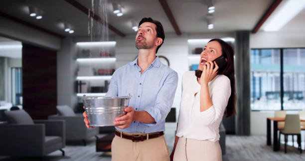 Best Professional water damage repair  in Blanchester, OH