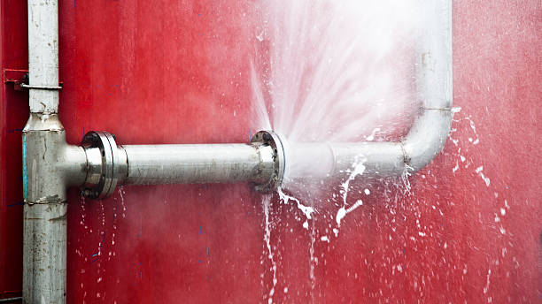 Best Local water damage restoration  in Blanchester, OH